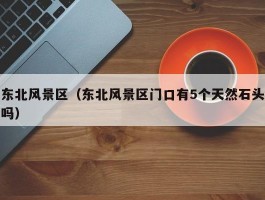 东北风景区（东北风景区门口有5个天然石头吗）