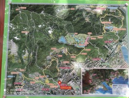 梧桐山路线(夜爬梧桐山路线)
