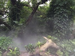 厦门植物园门票(厦门植物园门票预约官网)