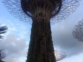 新加坡旅行最值得去的10个地方(新加坡旅行最值得去的10个地方是哪里)