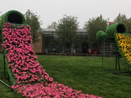 北京国际鲜花港(北京国际鲜花港现在开放了吗)