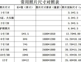 日本签证尺寸(日本签证尺寸是多少成多少)