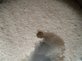 米酒的做法(怎样自酿米酒的做法)
