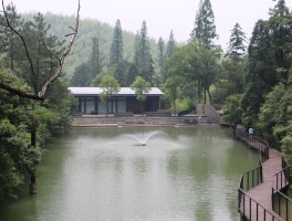 莫干山游玩攻略(莫干山游玩攻略上海去)