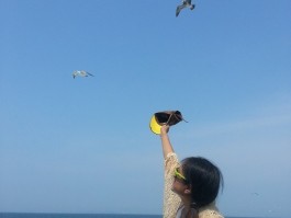 一次旅行一个人(一次一个人的旅行)