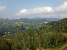 云南马关县属于哪个市(云南马关县属于哪个市区)
