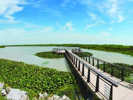 巢湖旅游(巢湖旅游攻略一日游)