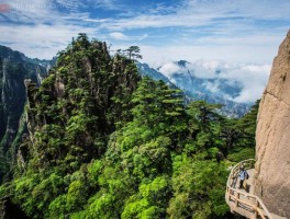 自驾黄山旅行费用(自驾黄山旅游路线安排)