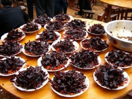 恩阳区旅游美食攻略(恩阳区旅游美食攻略一日游)