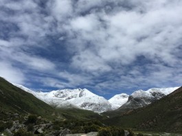 加查(加查天使)