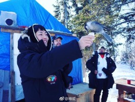幸运假期环球旅行(幸运乐游国际旅行社怎么样)