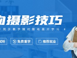 摄影技巧课程(摄影技巧解析课程)