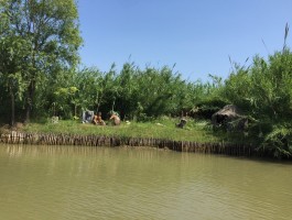 洪泽湖旅游(洪泽湖旅游度假村好玩吗)