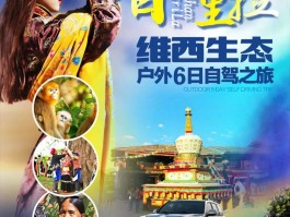 旅行社开发自驾游产品的策略(旅行社开发自驾游产品的策略有)