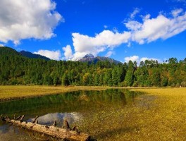 中国的美景世界之最(中国自然景观世界之最)