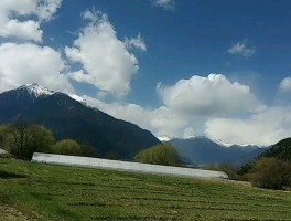 旅行记录的最新视频(旅行记录的最新视频素材)