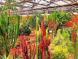 世界花卉大观园门票(世界花卉大观园门票需要预约吗)