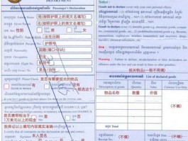 坐飞机旅游记录表(坐飞机旅游记录表怎么写)