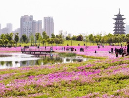 长沙洋湖湿地公园(长沙洋湖湿地公园有什么好玩的)