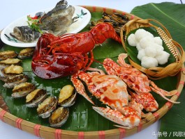 美食旅游商业(美食文化旅游产品)