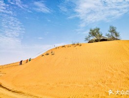 旅游沙坡头日记(沙坡头游记作文400字)