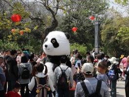 2023西安重点景区旅游人数多少呢(2023西安重点景区旅游人数多少呢视频)