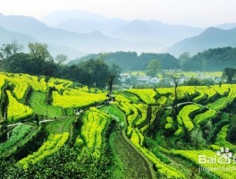 婺源旅游网(婺源旅游网站)