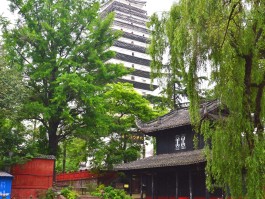 德阳旅游(德阳旅游景点排名前十名)
