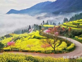 婺源旅游几月份去最好(江西婺源旅游几月份去最好)