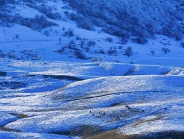 4岁宝宝冬天适合去哪里旅游(4岁宝宝冬天适合去哪里旅游呢)