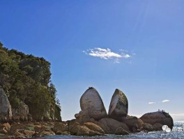 世界最奇怪的美景图片(世界上最奇怪的图片 动物 生物)
