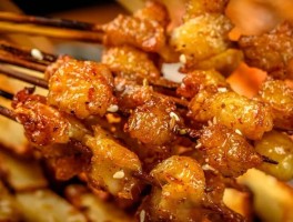 烧烤配菜品种大全图解(烧烤配菜品种大全图解图片)