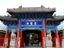 曲阜三孔一日游最佳路线(最适合带孩子去旅游的地方)