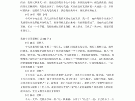 初二文明旅游观察日记(文明旅游100字左右感想)