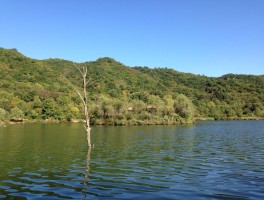 玉渡山风景区(玉渡山风景区可以带宠物吗)