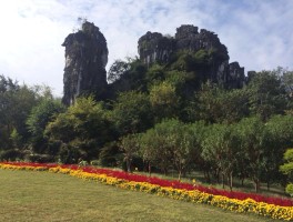 桂林七星公园(桂林七星公园收费吗)