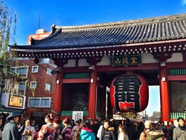 东京旅游攻略(东京旅游攻略自由行)