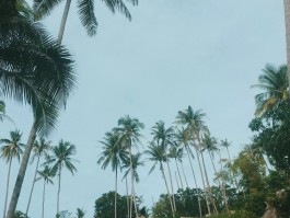 旅行拍照10个技巧(旅行拍照10个技巧视频)