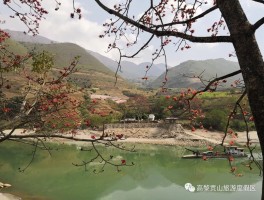 保山潞江坝旅游日记(保山潞江坝哪里最好玩)