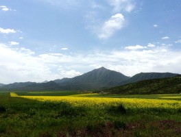 七月旅行自驾(七月自驾游的旅游线路有哪些)