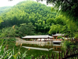 木坑竹海(木坑竹海好玩吗)