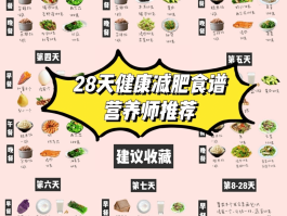 科学减肥食谱(科学减肥食谱大全)