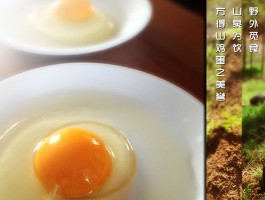 山鸡蛋(山鸡蛋跟普通鸡蛋的区别)