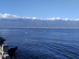 自驾旅行云南大理(自驾大理旅游攻略必去景点)