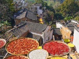 婺源篁岭旅游攻略(江西婺源篁岭旅游攻略)