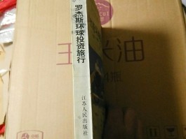 罗杰斯环球旅行漫画(罗杰斯 旅行是最有价值的投资)