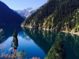旅游手机拍照风景技巧(旅游手机拍照风景技巧视频)