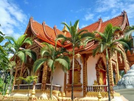 西双版纳旅游记录片(西双版纳旅游宣传片2020)
