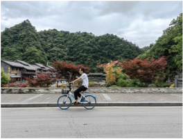 一个人骑自行车到处旅游的bgm的简单介绍