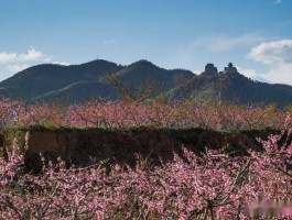 平谷桃花节(平谷桃花节自驾游攻略)